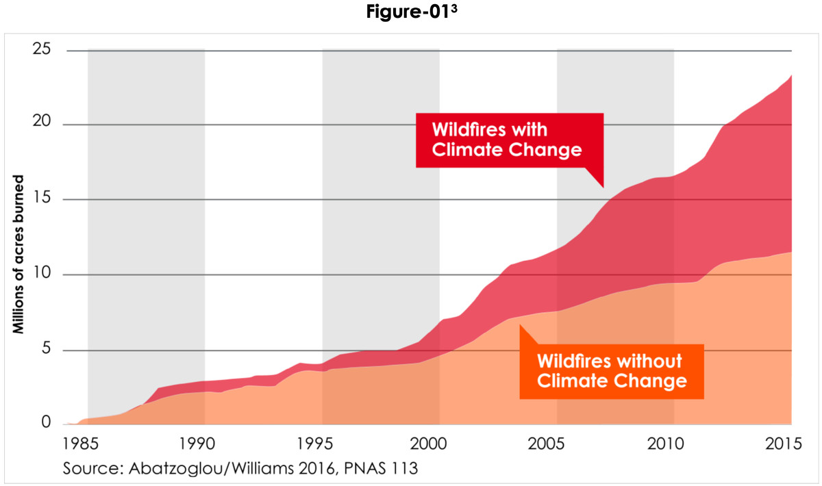 Climate change: What role is it playing in the California fires