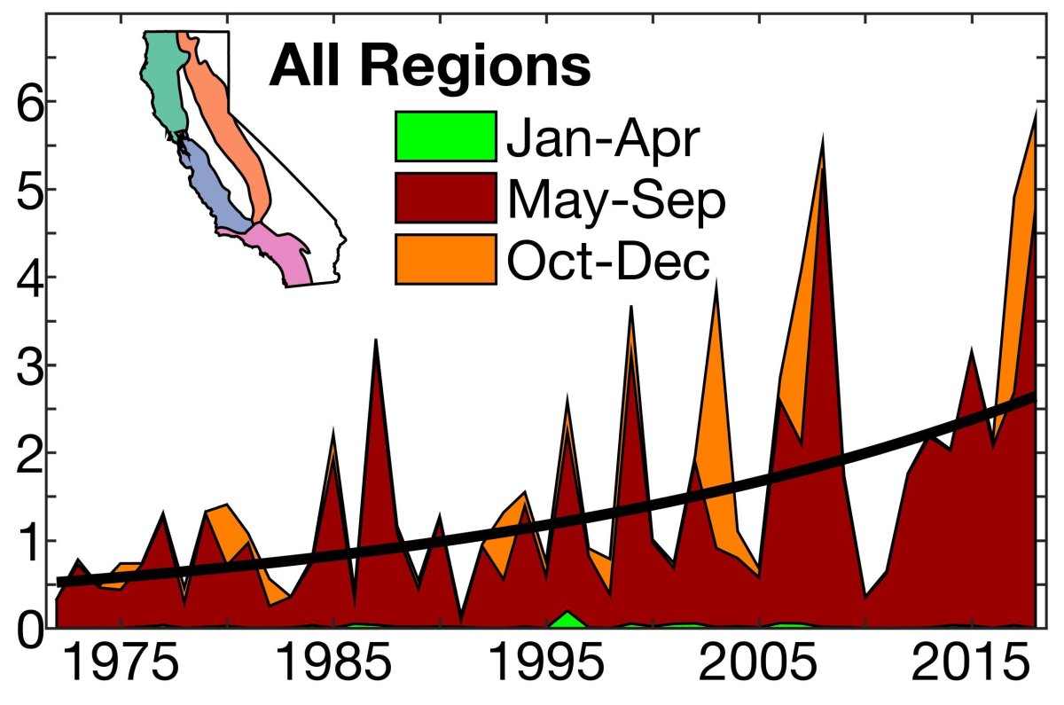 Wildfire economy